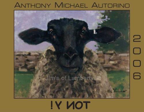 "Anthony Michael Autorino: !Y NOT" by James M. Alterman